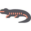 Salamander Logo